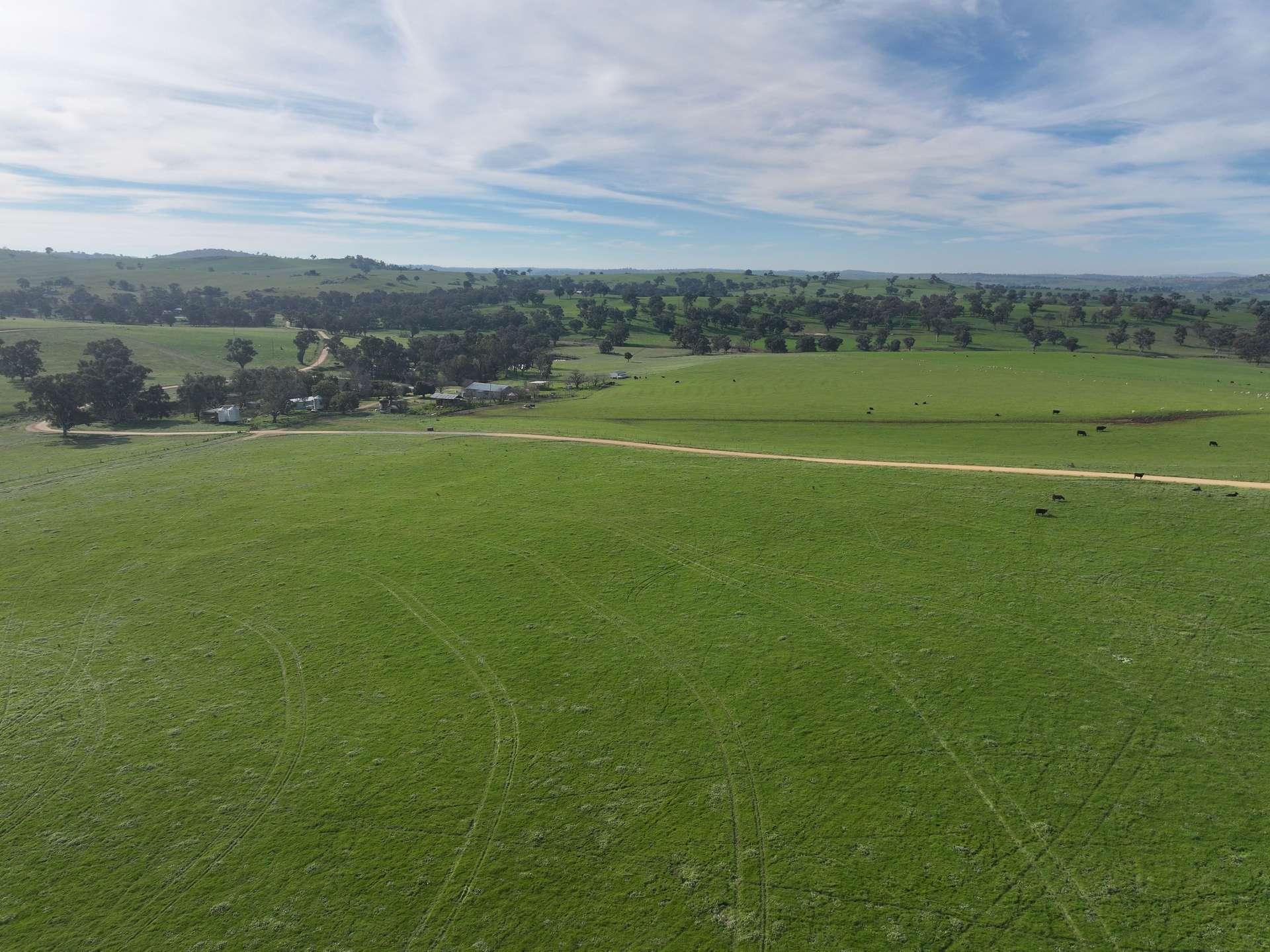 'Caulderwood Park' 570 Coggans Road, Coolac Tender by Farmbuy.com - image 8