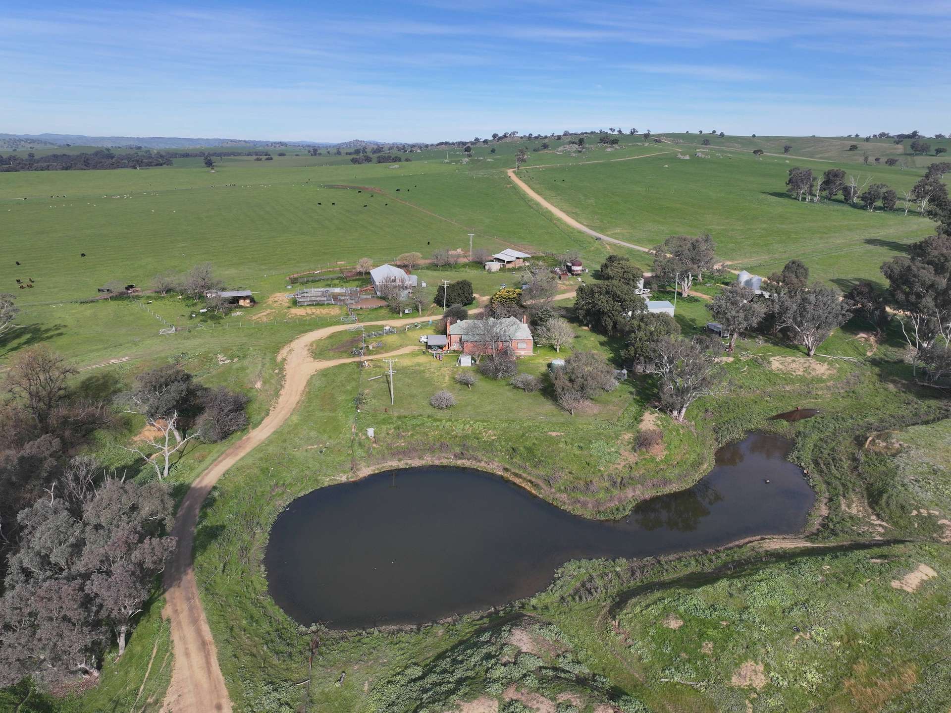 'Caulderwood Park' 570 Coggans Road, Coolac Tender by Farmbuy.com - image 31