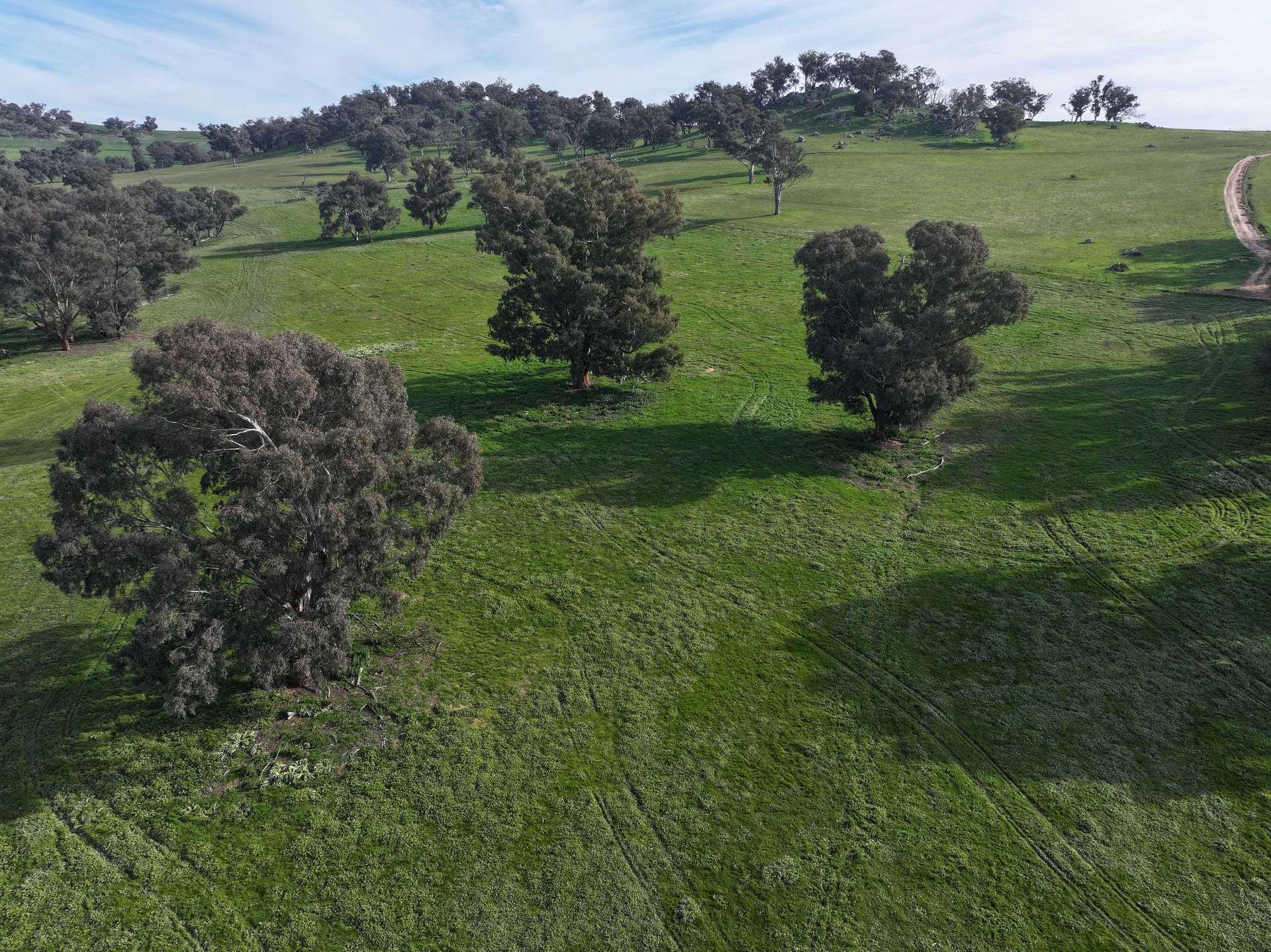 'Caulderwood Park' 570 Coggans Road, Coolac Tender by Farmbuy.com - image 32