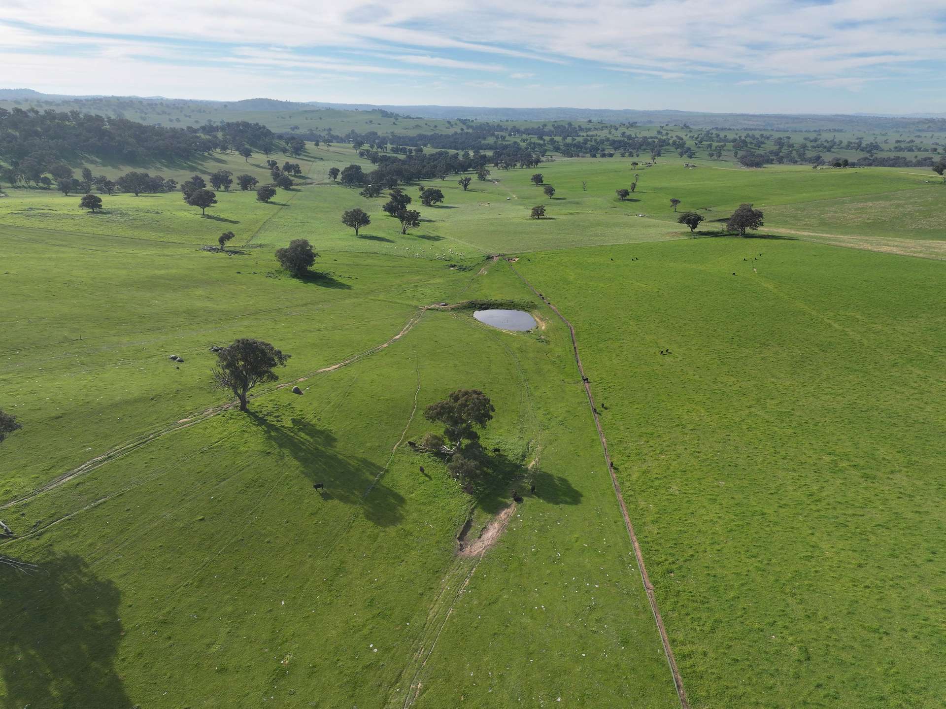 'Caulderwood Park' 570 Coggans Road, Coolac Tender by Farmbuy.com - image 6