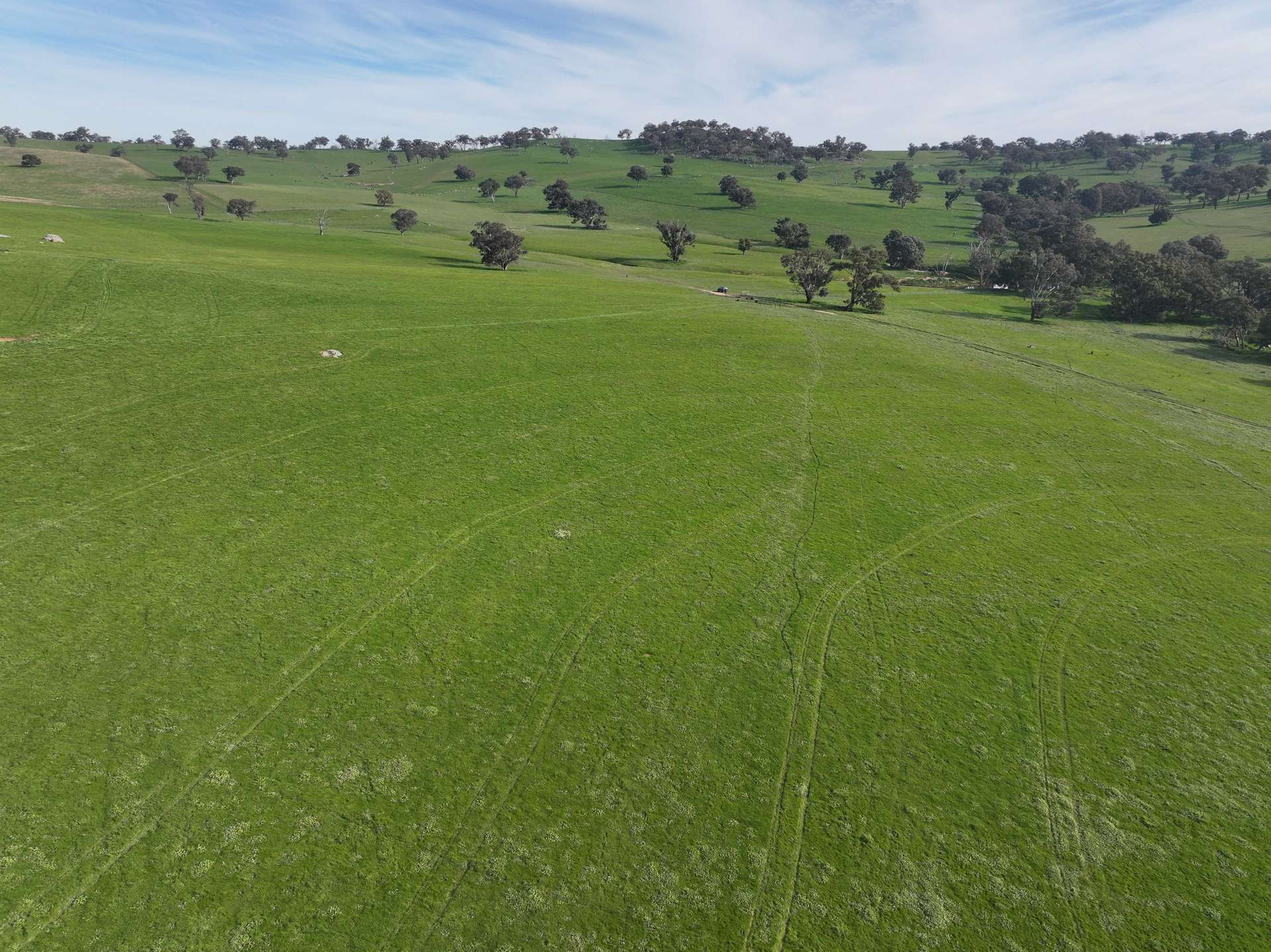 'Caulderwood Park' 570 Coggans Road, Coolac Tender by Farmbuy.com - image 12
