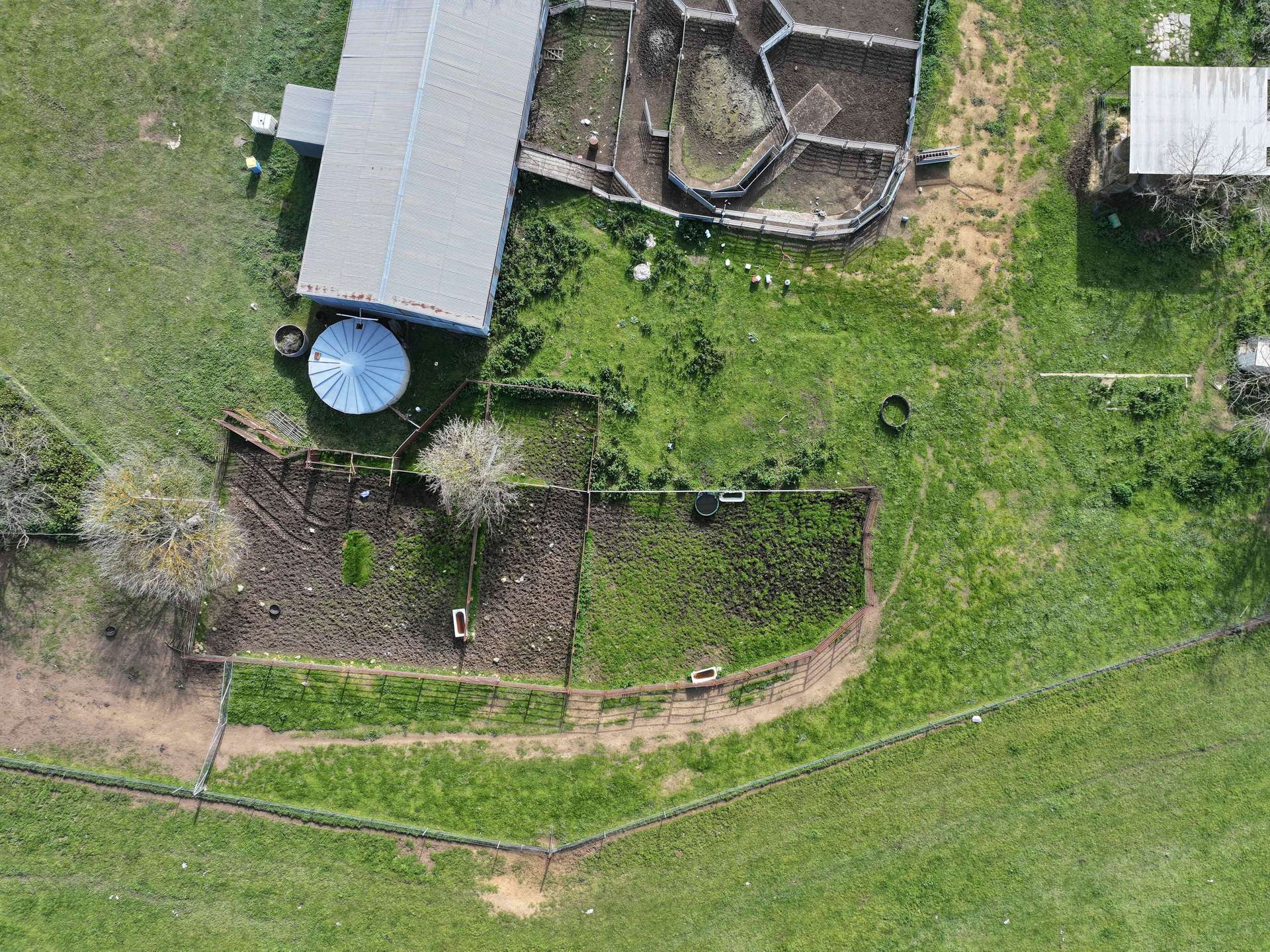 'Caulderwood Park' 570 Coggans Road, Coolac Tender by Farmbuy.com - image 23