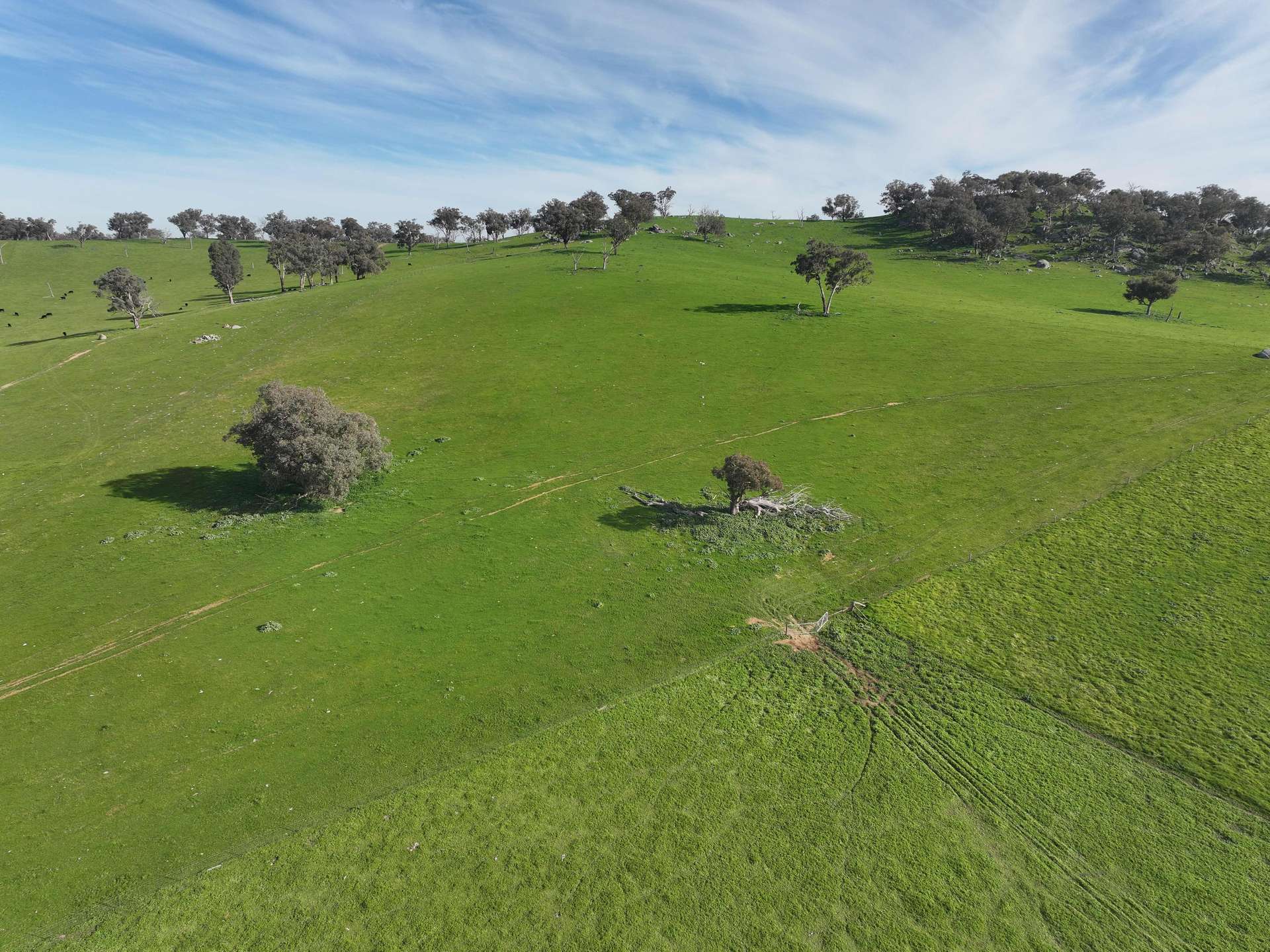 'Caulderwood Park' 570 Coggans Road, Coolac Tender by Farmbuy.com - image 5