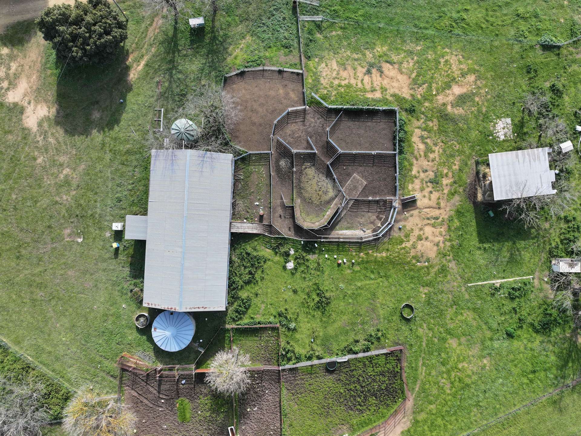 'Caulderwood Park' 570 Coggans Road, Coolac Tender by Farmbuy.com - image 22