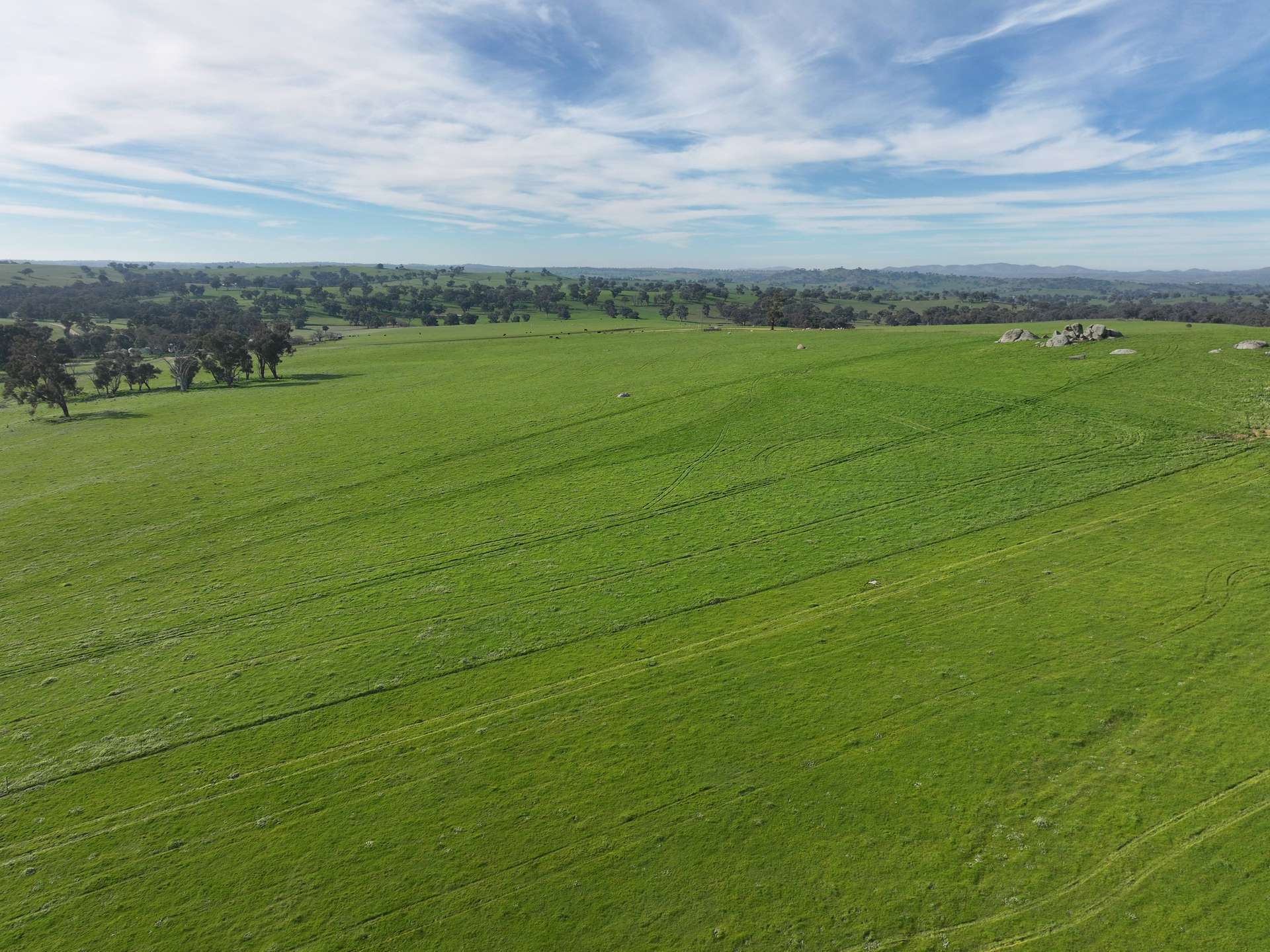 'Caulderwood Park' 570 Coggans Road, Coolac Tender by Farmbuy.com - image 2