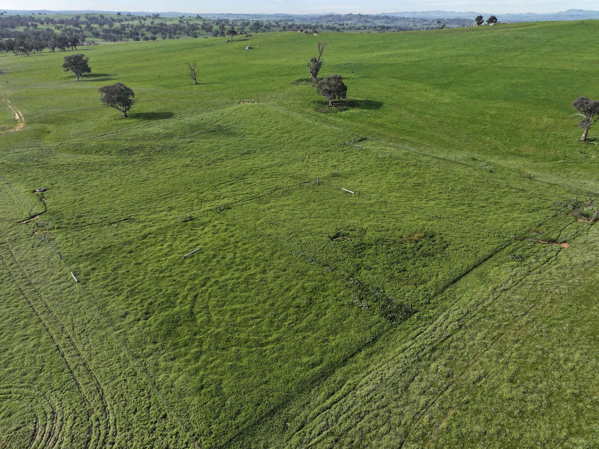 'Caulderwood Park' 570 Coggans Road, Coolac Tender by Farmbuy.com - image 7