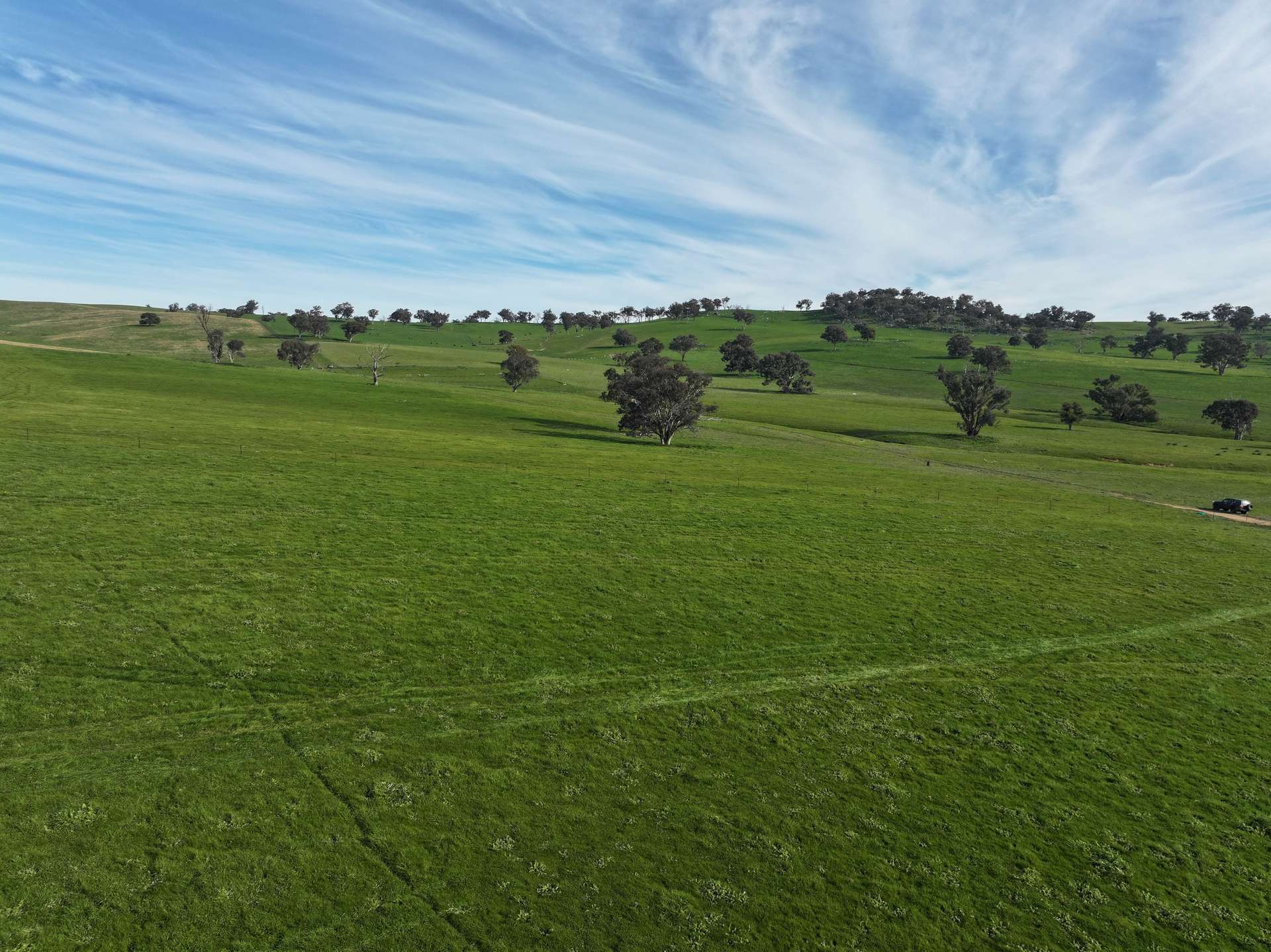 'Caulderwood Park' 570 Coggans Road, Coolac Tender by Farmbuy.com - image 34
