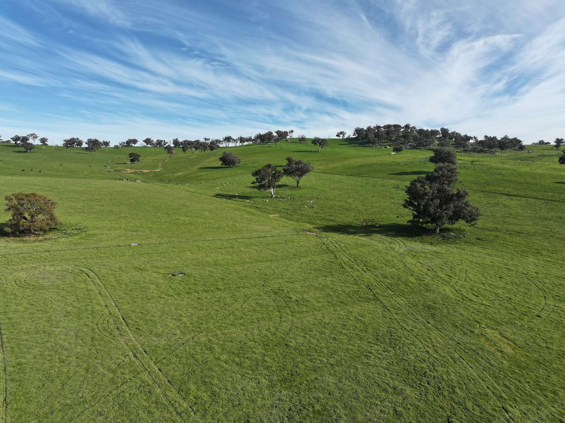 'Caulderwood Park' 570 Coggans Road, Coolac Tender by Farmbuy.com - image 4