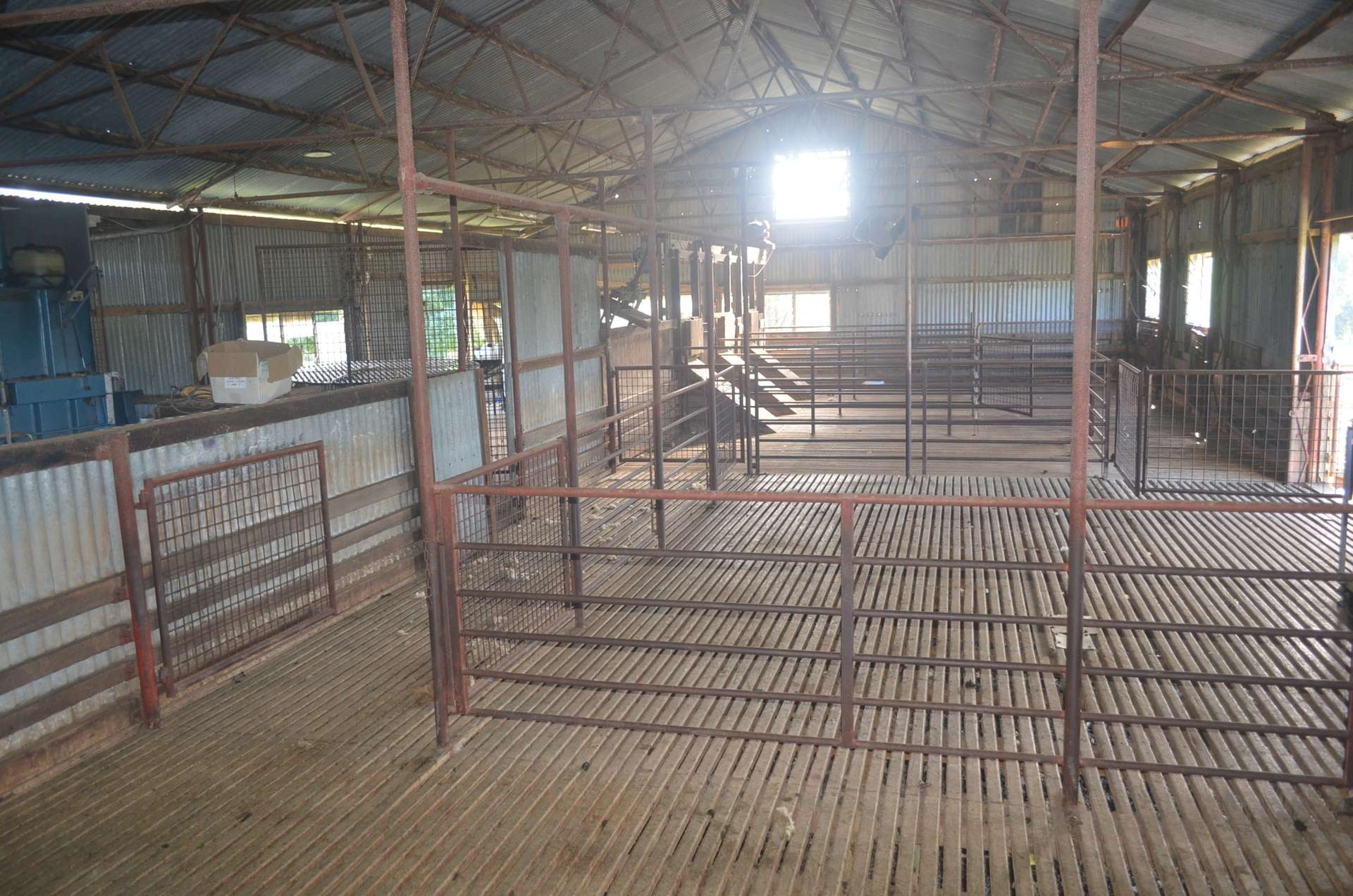 'Caulderwood Park' 570 Coggans Road, Coolac Tender by Farmbuy.com - image 25