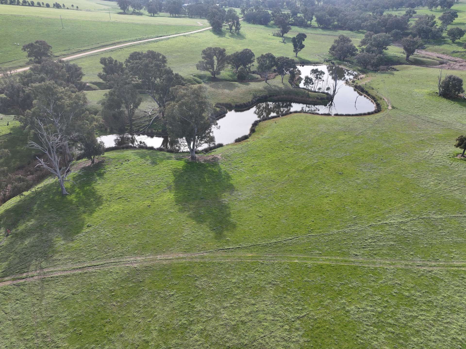 'Caulderwood Park' 570 Coggans Road, Coolac Tender by Farmbuy.com - image 17