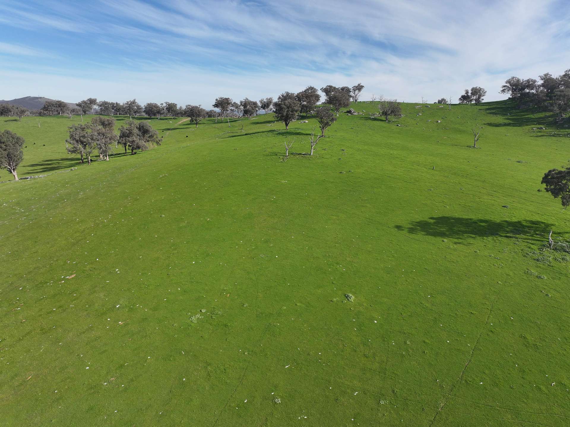 'Caulderwood Park' 570 Coggans Road, Coolac Tender by Farmbuy.com - image 1