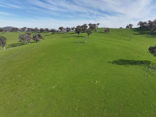 'Caulderwood Park' 570 Coggans Road, Coolac NSW 2727