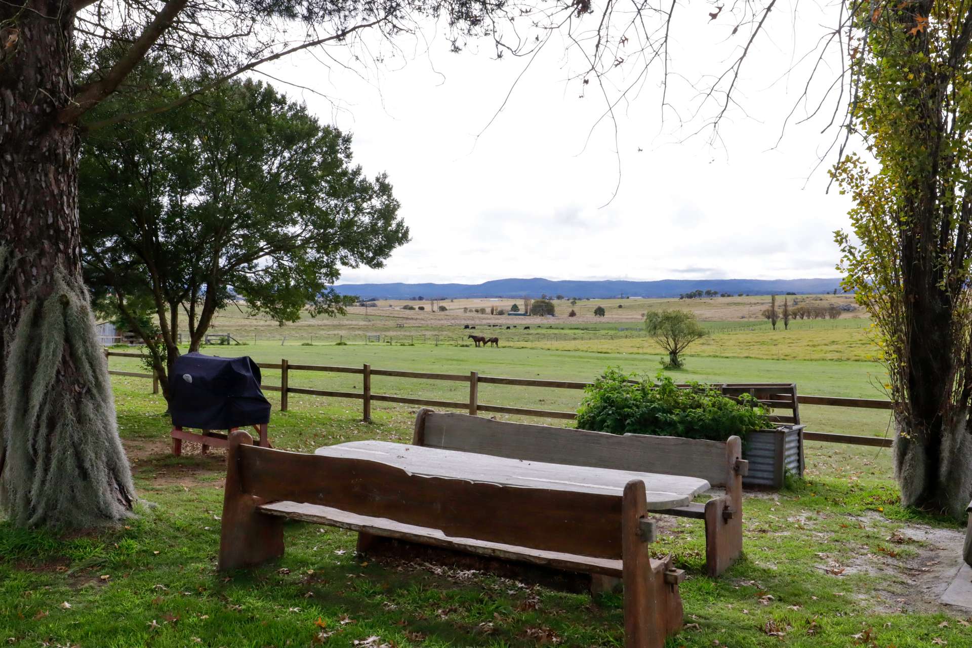 12436 Bruxner Highway, Tenterfield For Sale by Farmbuy.com - image 22