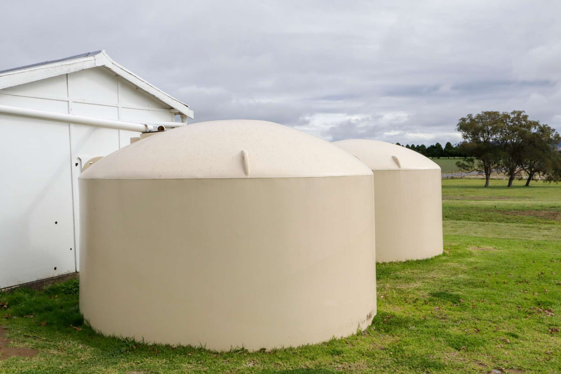 12436 Bruxner Highway, Tenterfield For Sale by Farmbuy.com - image 27