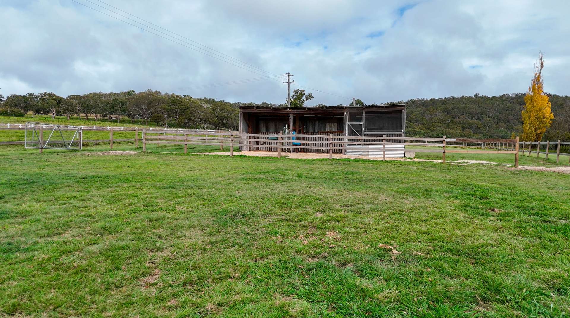 12436 Bruxner Highway, Tenterfield For Sale by Farmbuy.com - image 30