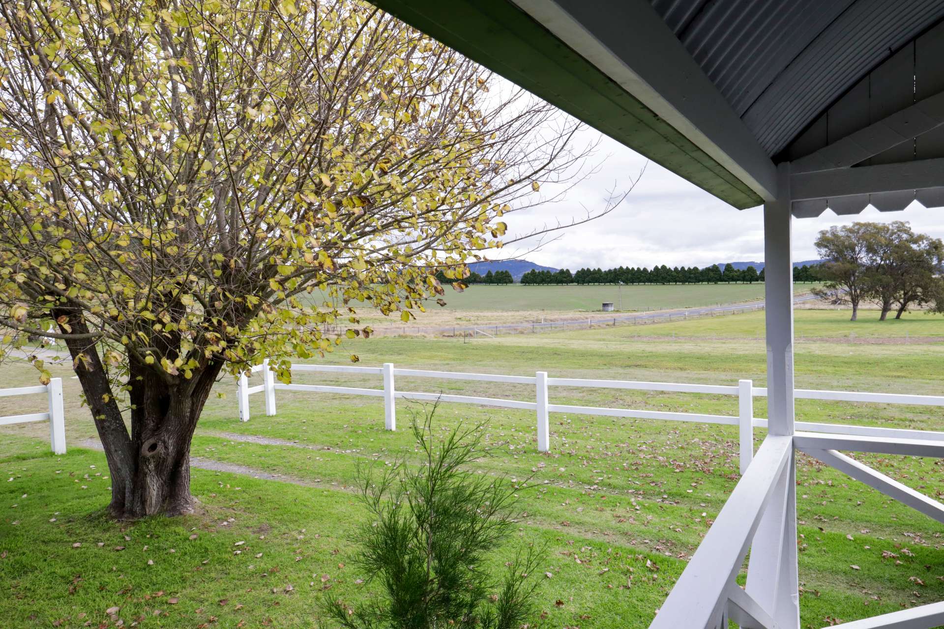 12436 Bruxner Highway, Tenterfield For Sale by Farmbuy.com - image 25