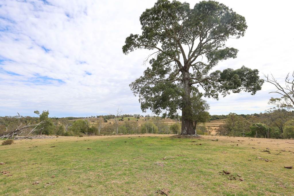 213 Kings Hill Road, Highgrove QLD 4352