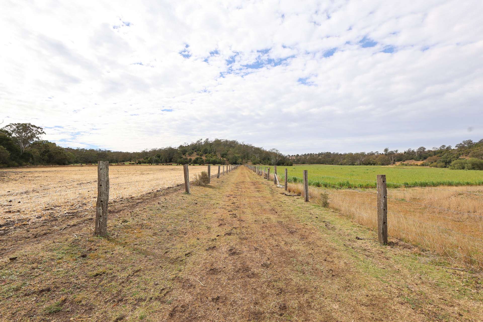 213 Kings Hill Road, Highgrove For Sale by Farmbuy.com - image 9