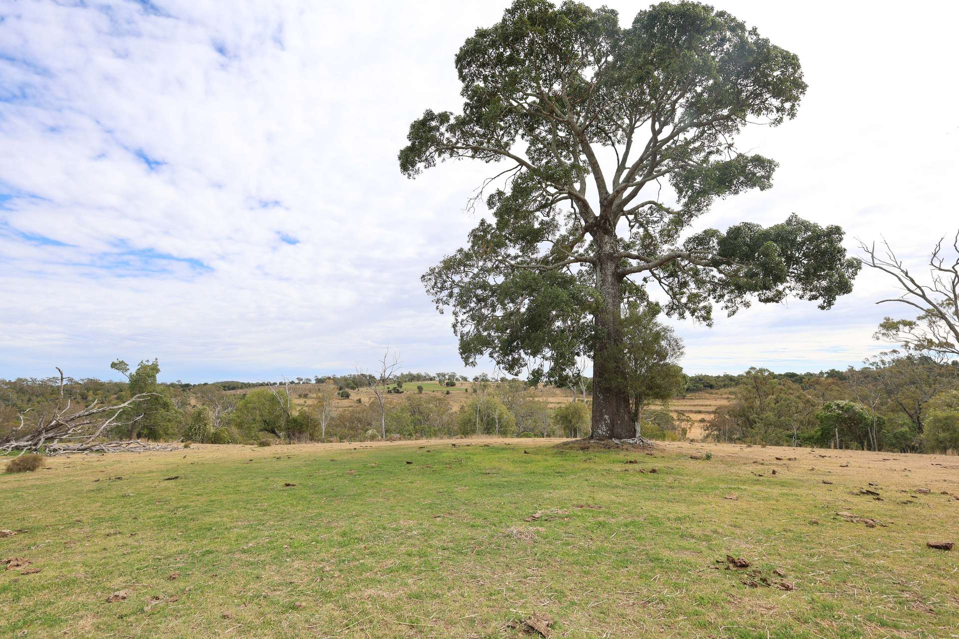213 Kings Hill Road, Highgrove For Sale by Farmbuy.com - image 27