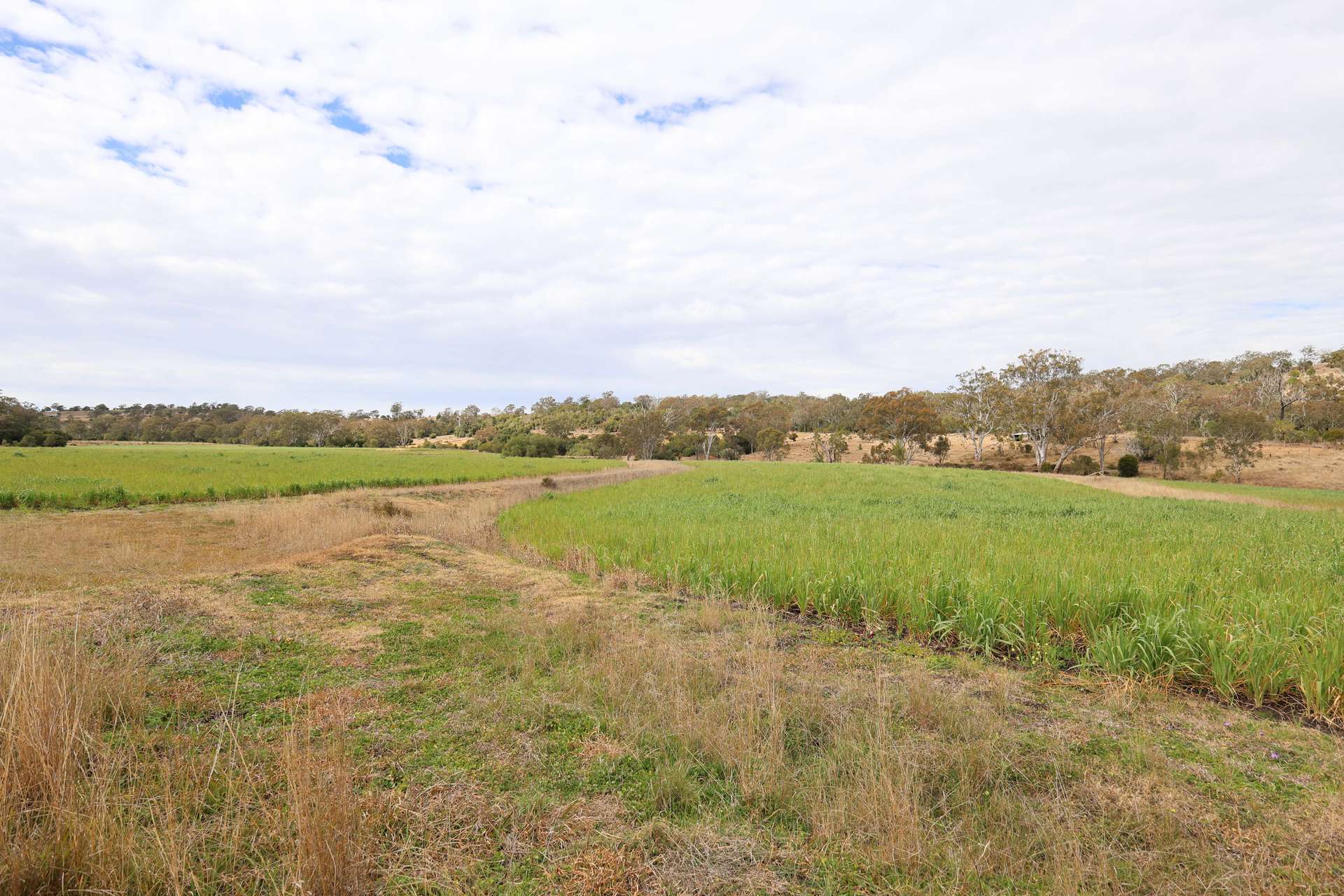 213 Kings Hill Road, Highgrove For Sale by Farmbuy.com - image 10