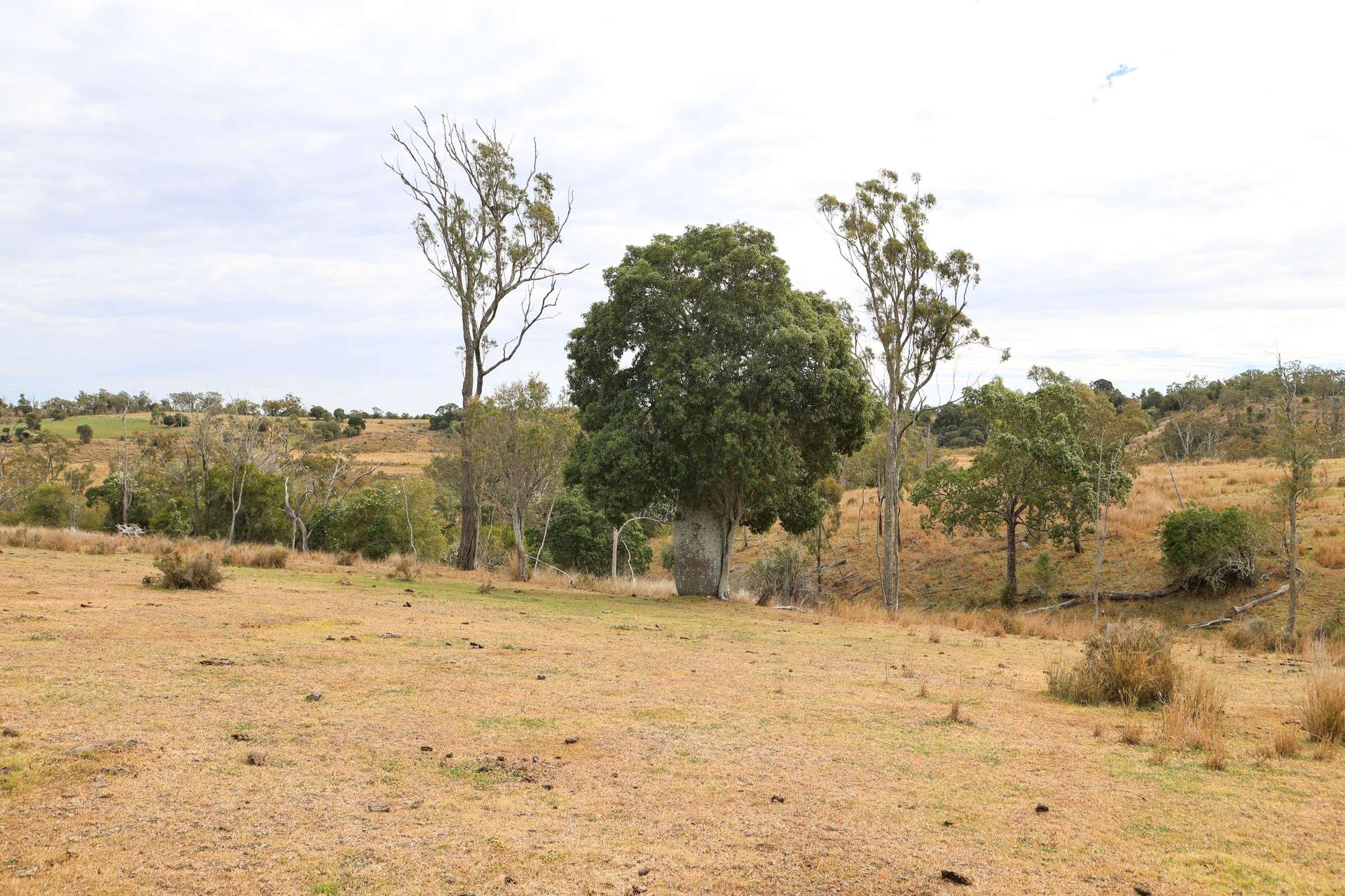 213 Kings Hill Road, Highgrove For Sale by Farmbuy.com - image 28