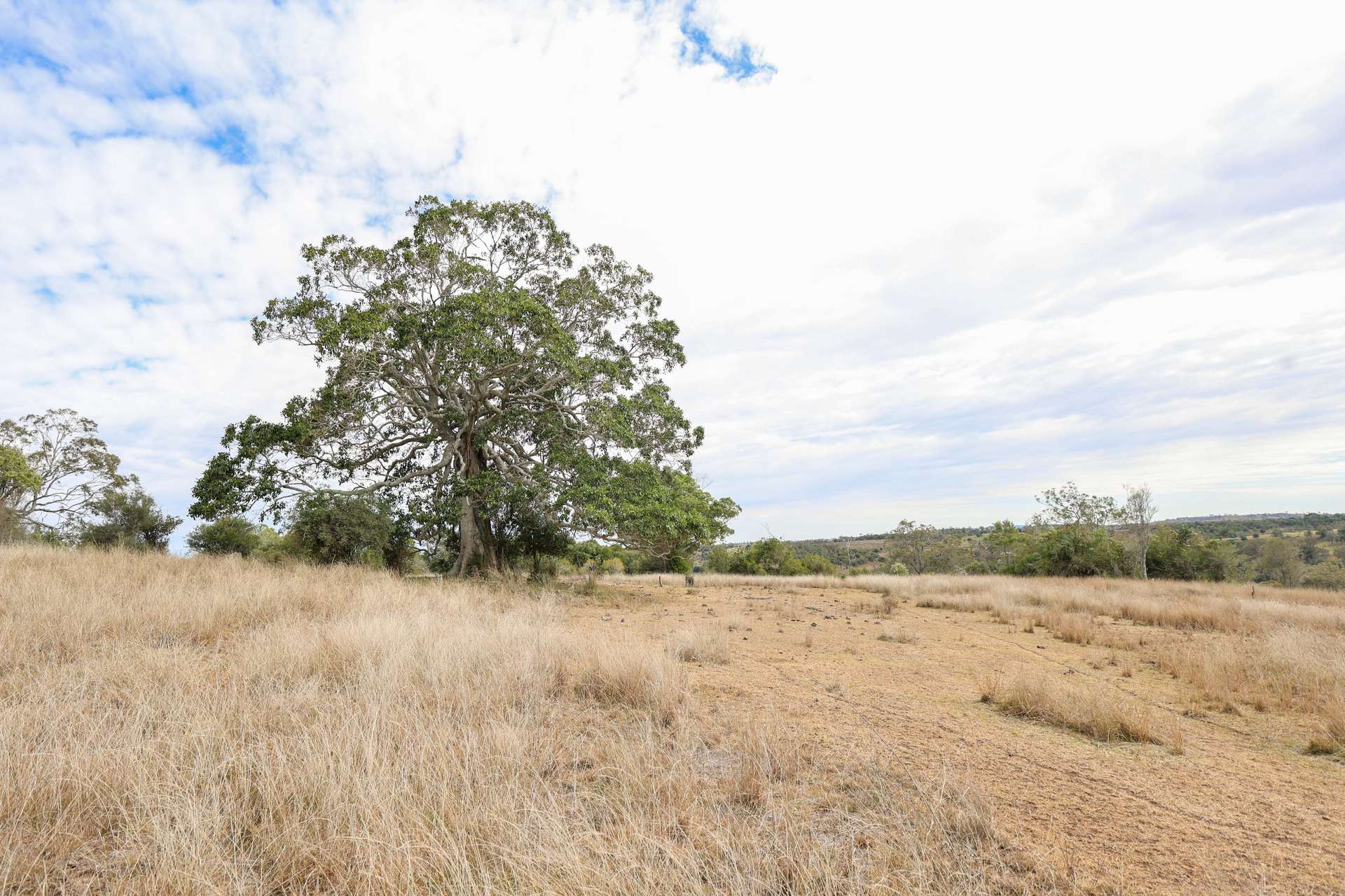 213 Kings Hill Road, Highgrove For Sale by Farmbuy.com - image 26