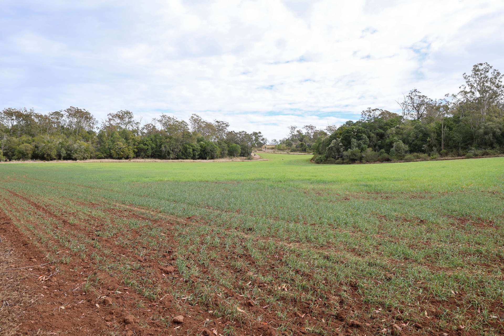 213 Kings Hill Road, Highgrove For Sale by Farmbuy.com - image 8
