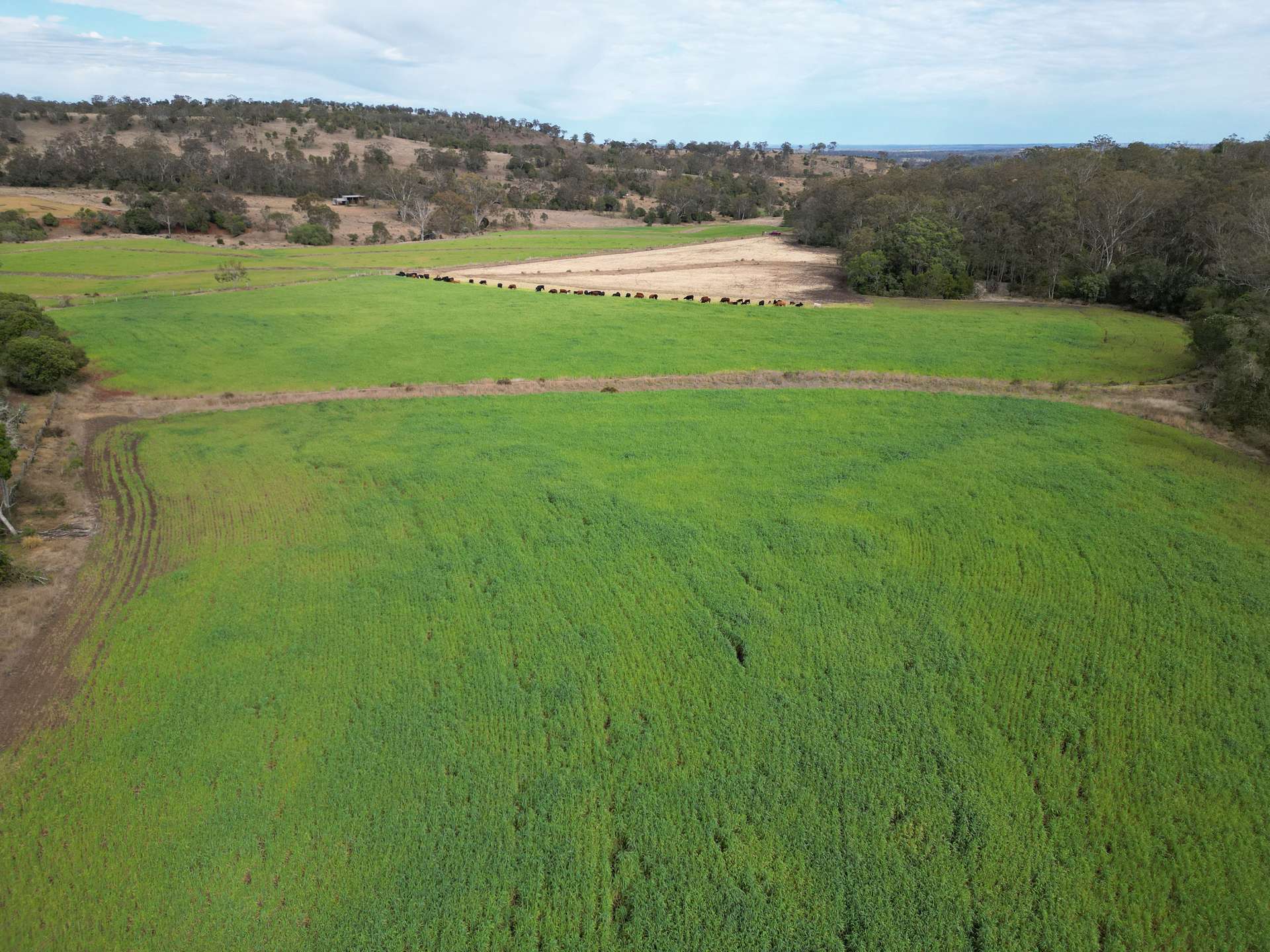 213 Kings Hill Road, Highgrove For Sale by Farmbuy.com - image 5