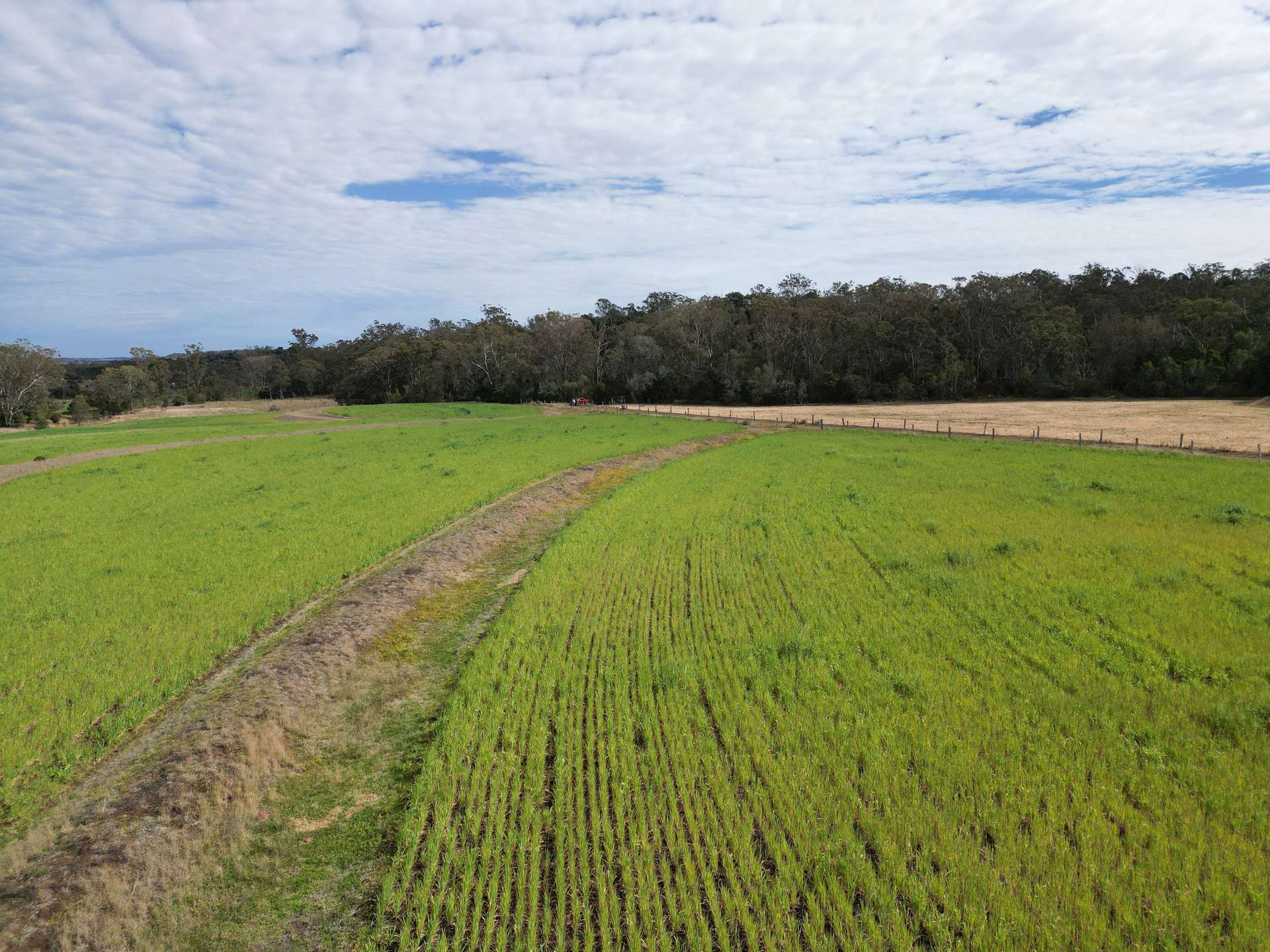 213 Kings Hill Road, Highgrove For Sale by Farmbuy.com - image 6