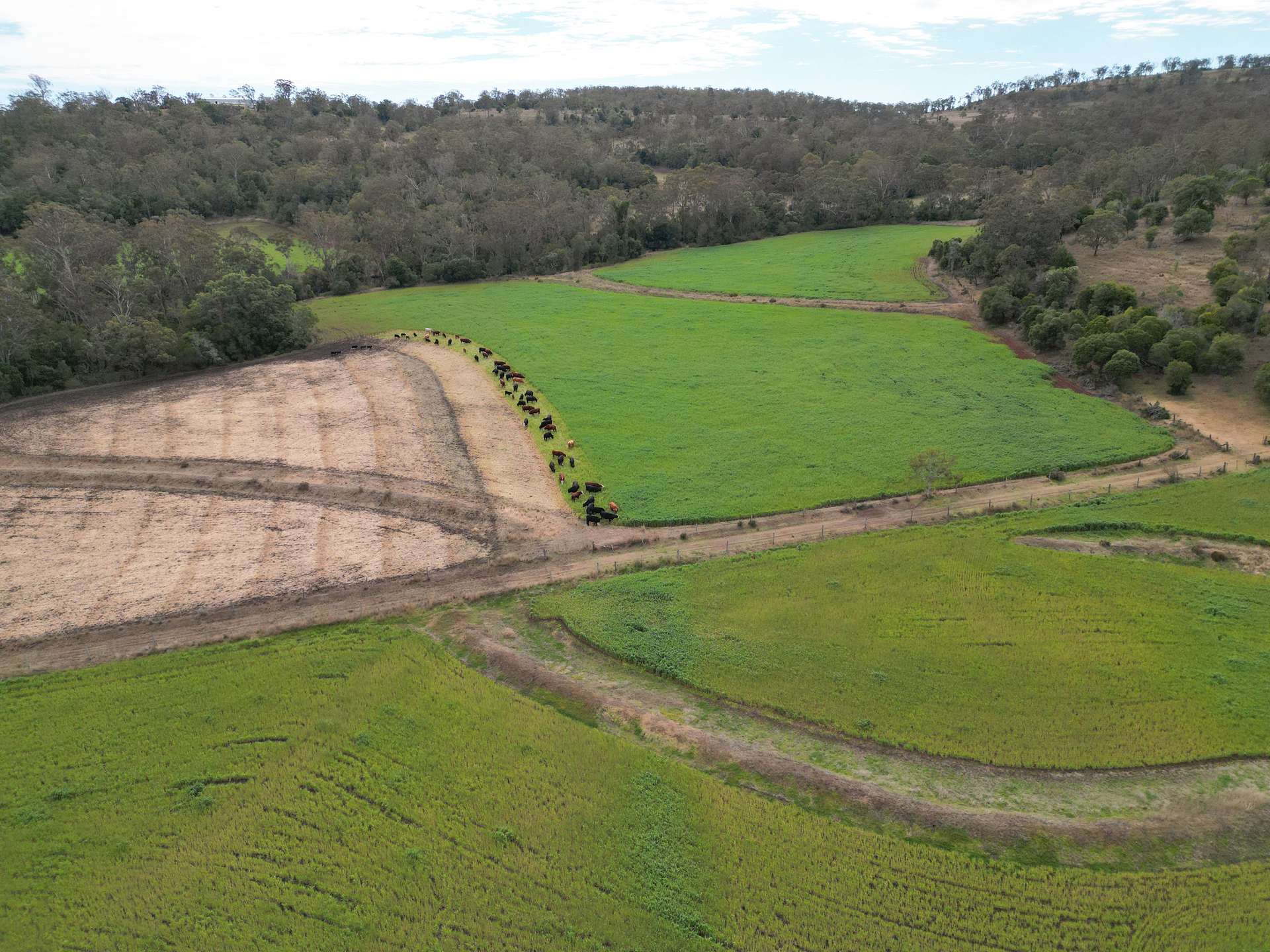 213 Kings Hill Road, Highgrove For Sale by Farmbuy.com - image 4