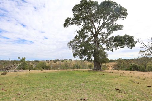213 Kings Hill Road, Highgrove QLD 4352