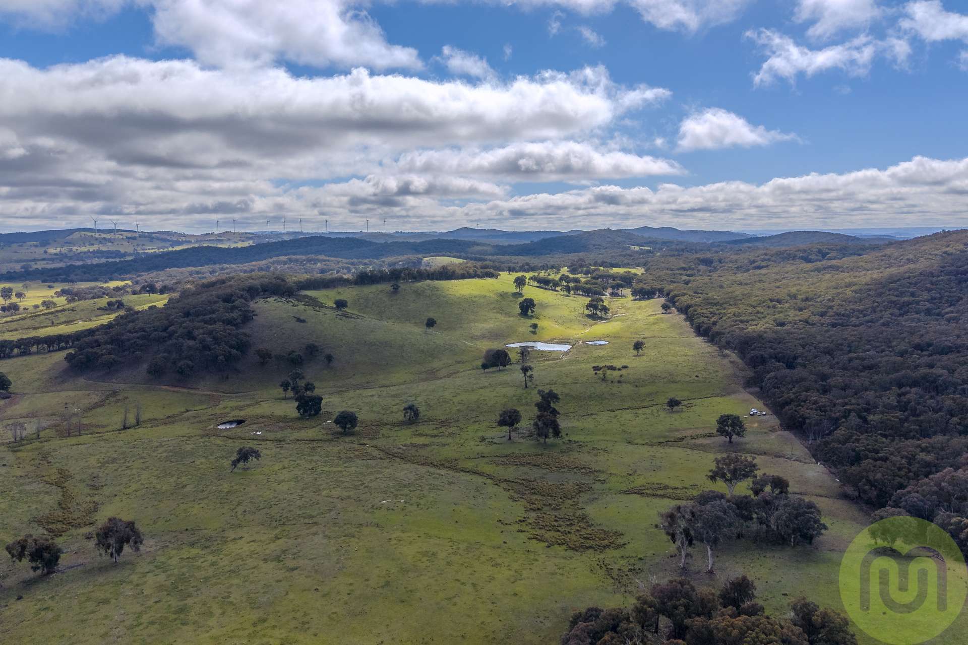 712 Sheldricks Lane, Manton For Sale by Farmbuy.com - image 12