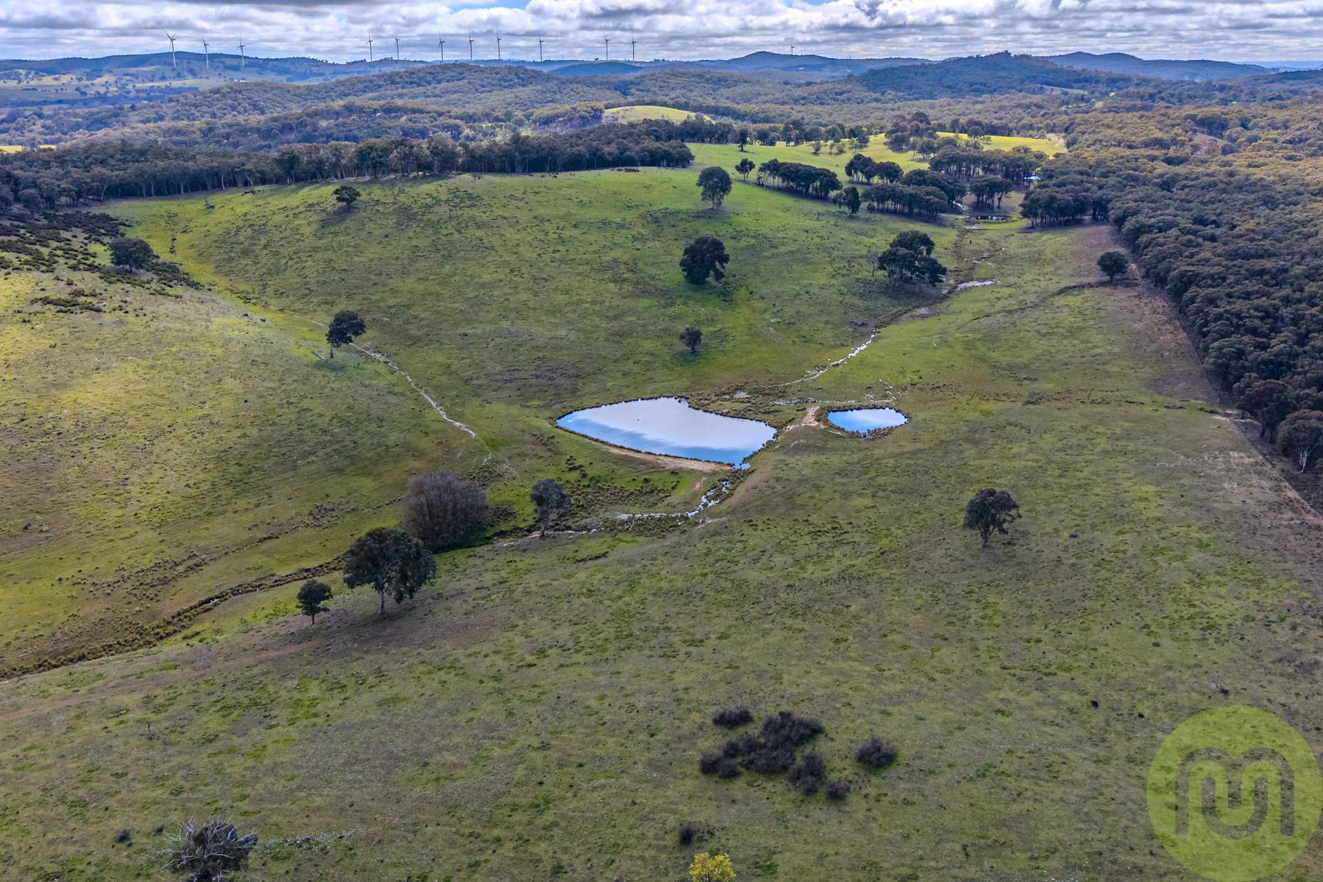 712 Sheldricks Lane, Manton For Sale by Farmbuy.com - image 18