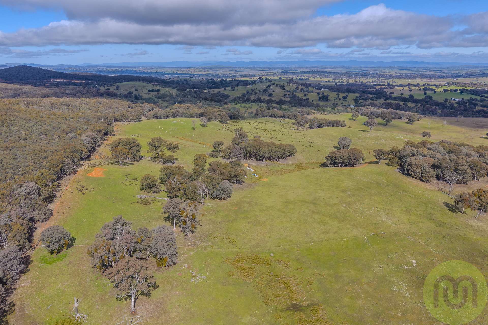 712 Sheldricks Lane, Manton For Sale by Farmbuy.com - image 20
