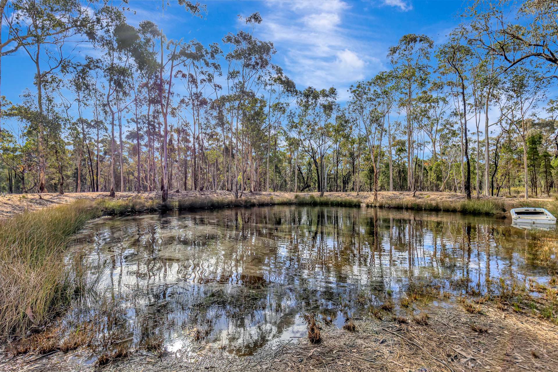 155 Governor Road, Gulgong For Sale by Farmbuy.com - image 17