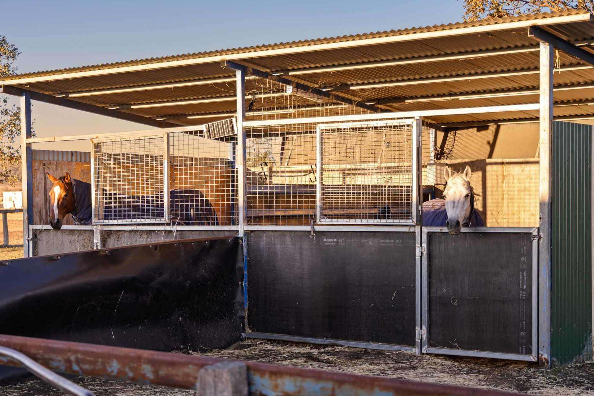 34 Lipp Road, East Greenmount For Sale by Farmbuy.com - image 17
