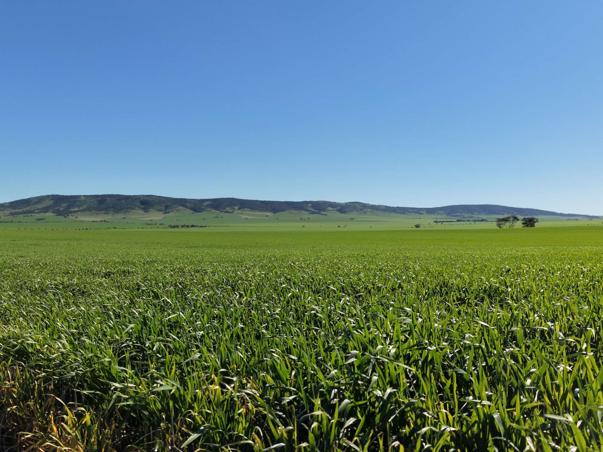 969 Mail Road, South Hummocks For Sale by Farmbuy.com - image 5