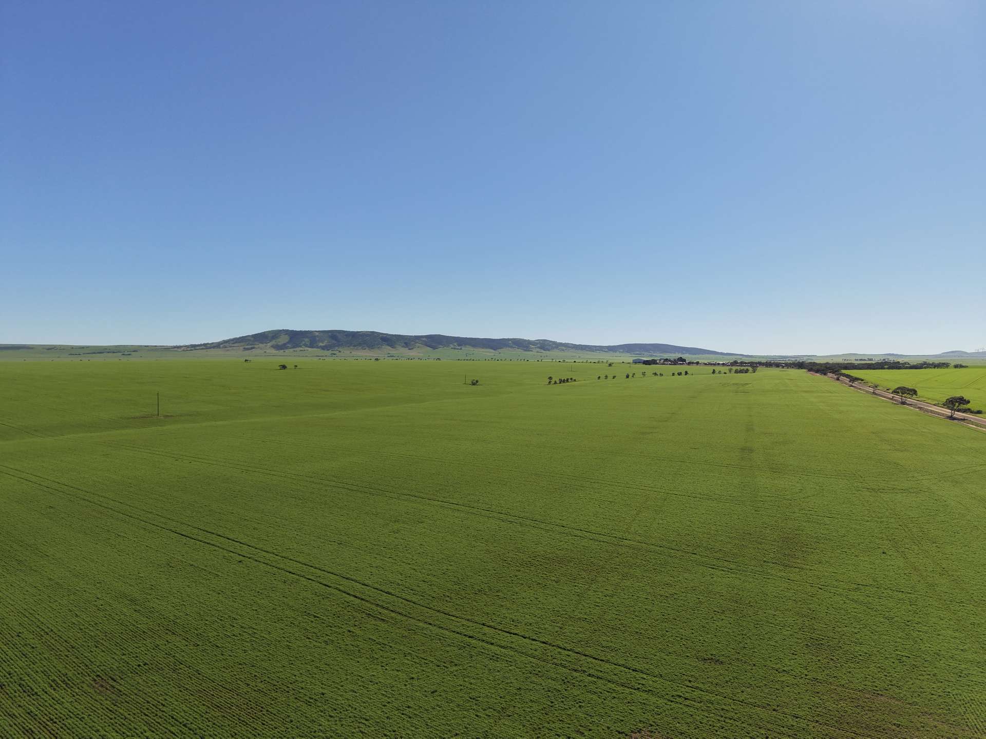 969 Mail Road, South Hummocks For Sale by Farmbuy.com - image 3