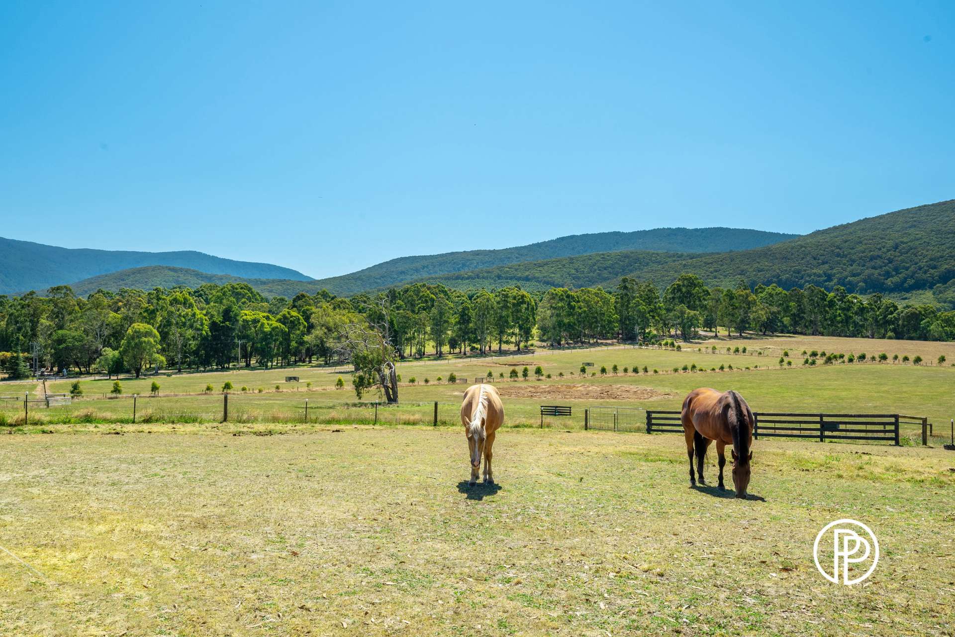 40 Rayner Court, Yarra Junction For Sale by Farmbuy.com - image 23