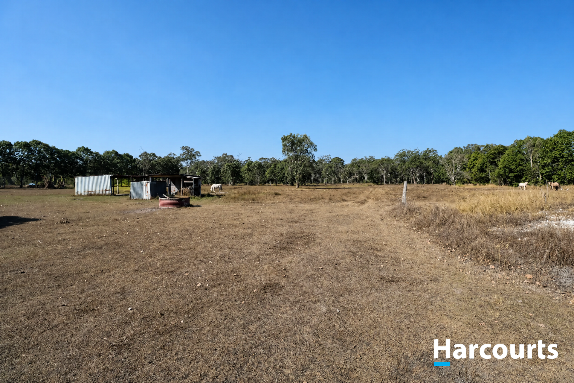 182 Garryowen Road, Redridge For Sale by Farmbuy.com - image 24