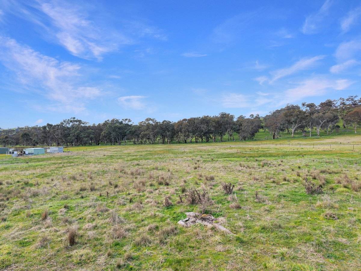 44 Dowling Drive Murringo, Via, Young For Sale by Farmbuy.com - image 6