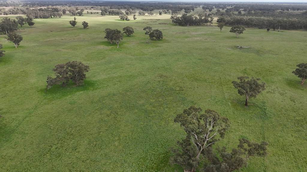 Lot 1 Bangham Road, Bangham SA 5268