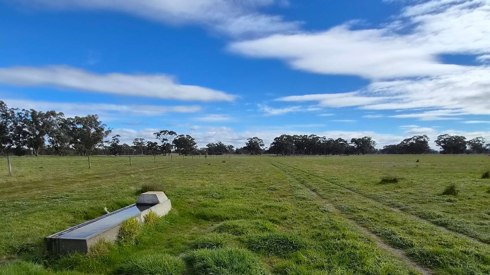 Lot 1 Bangham Road, Bangham For Sale by Farmbuy.com - image 21