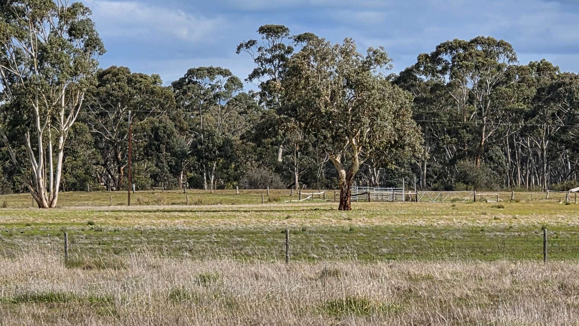 Lot 1 Bangham Road, Bangham For Sale by Farmbuy.com - image 11