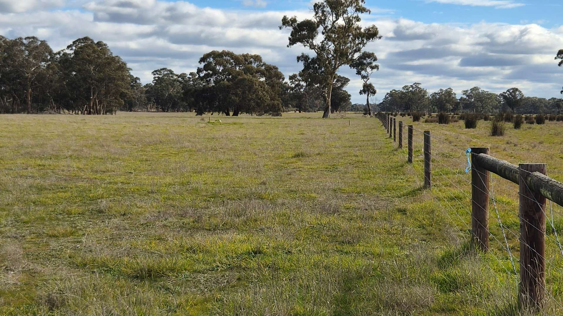 Lot 1 Bangham Road, Bangham For Sale by Farmbuy.com - image 24