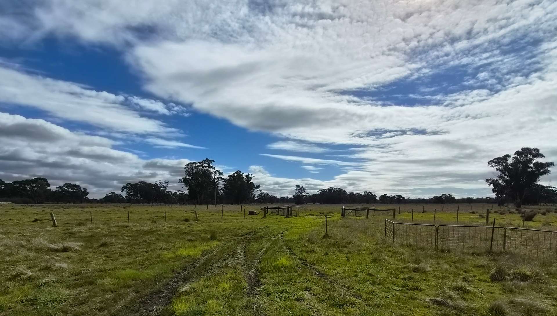 Lot 1 Bangham Road, Bangham For Sale by Farmbuy.com - image 29