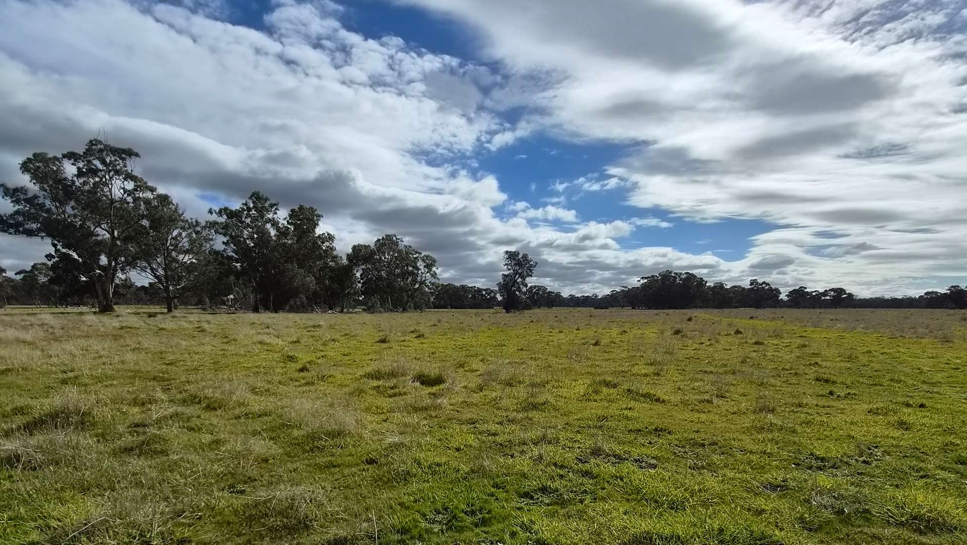 Lot 1 Bangham Road, Bangham For Sale by Farmbuy.com - image 12