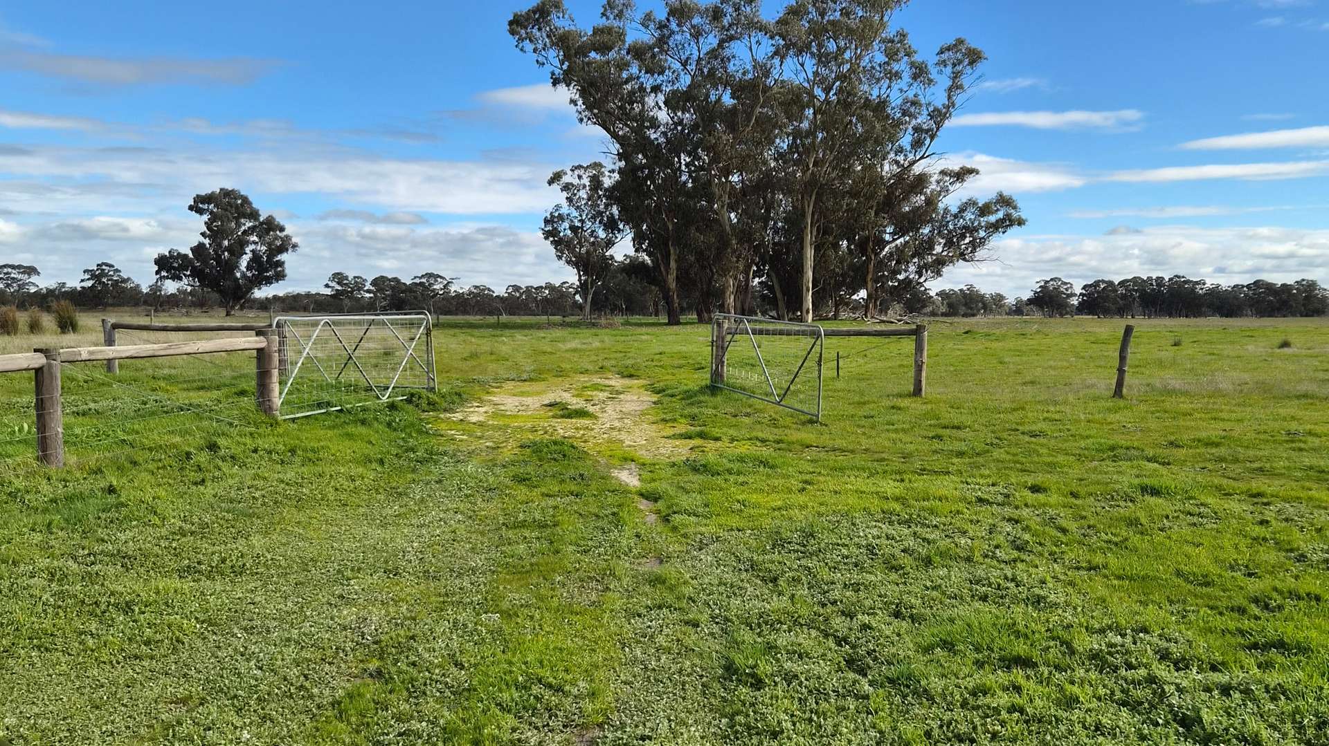Lot 1 Bangham Road, Bangham For Sale by Farmbuy.com - image 17