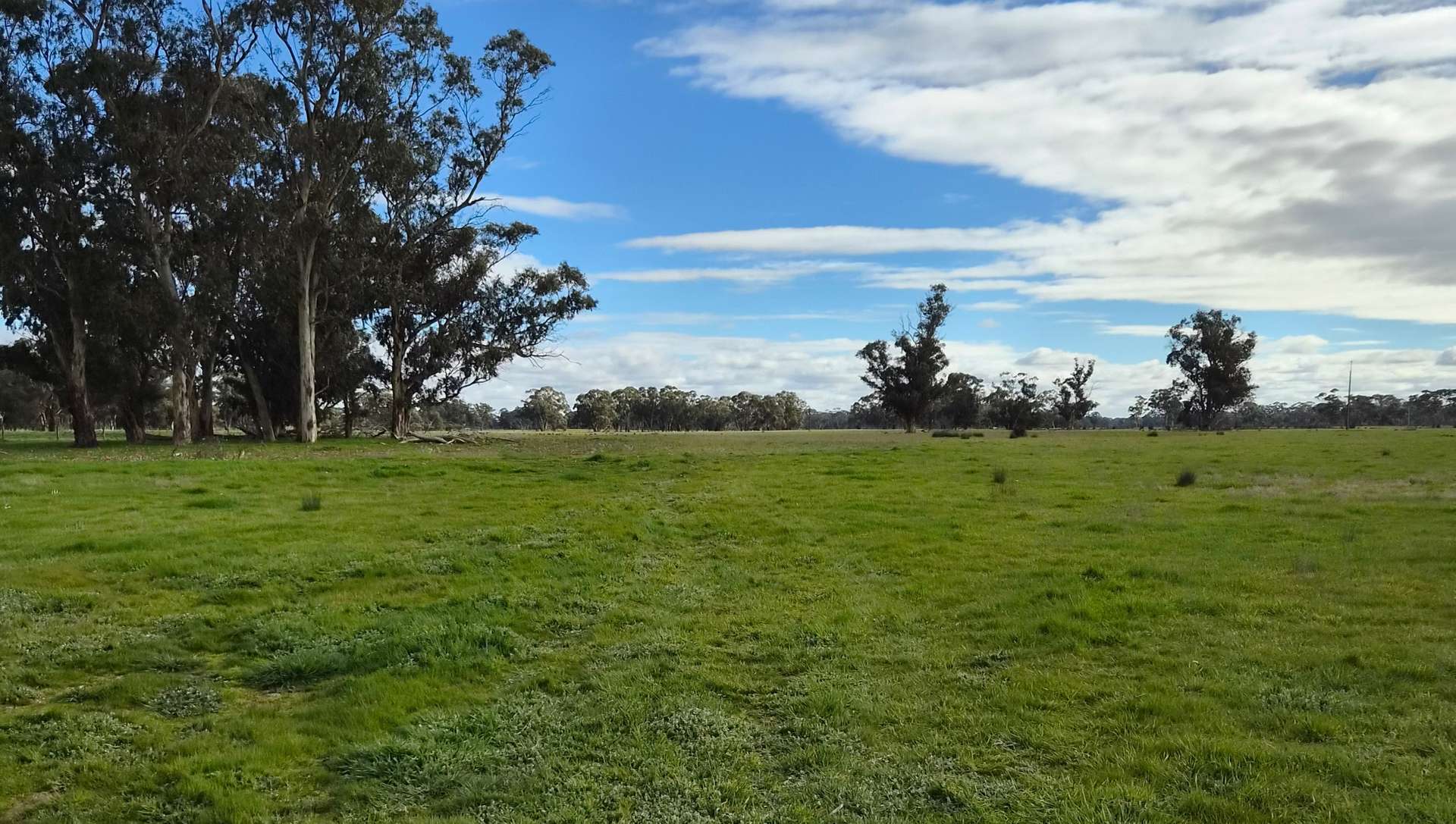 Lot 1 Bangham Road, Bangham For Sale by Farmbuy.com - image 19