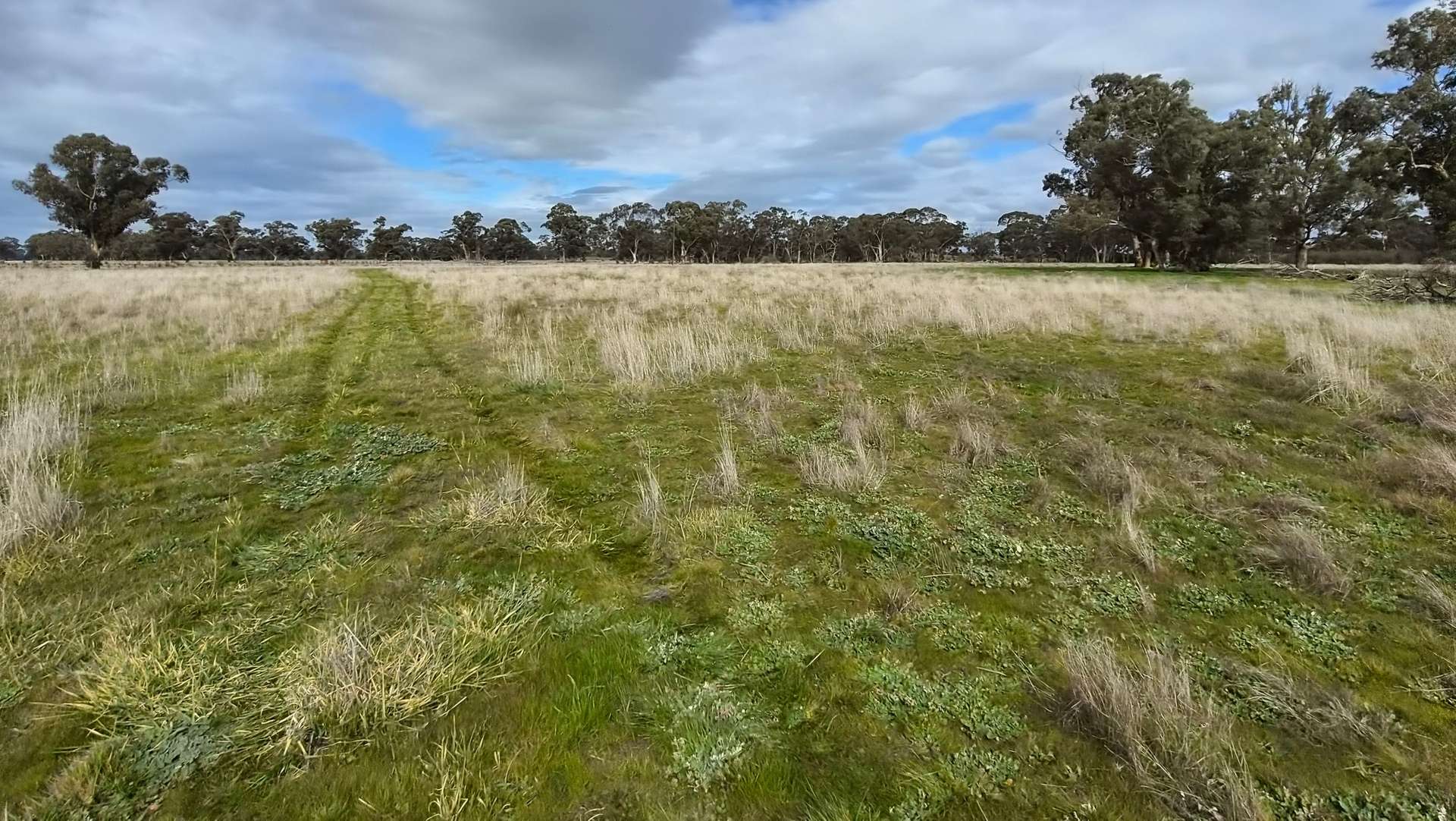 Lot 1 Bangham Road, Bangham For Sale by Farmbuy.com - image 9